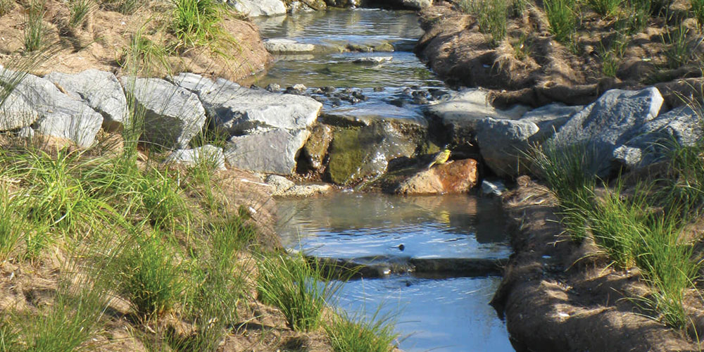 SmartMat Bio matting on a stream bank